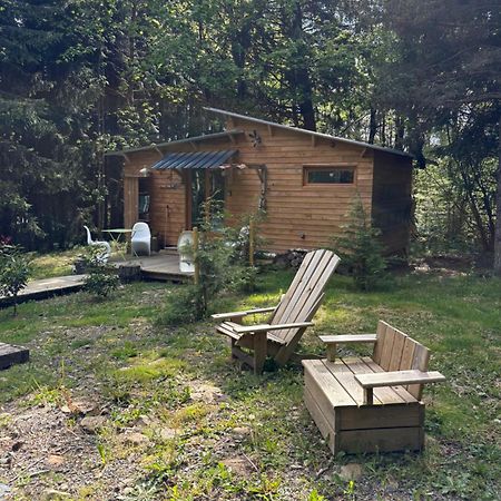 Chalet Libellule Domaine De La Mamounette Champclause Exterior photo